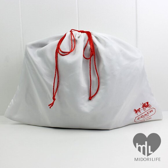 COACH Daisy Signature Poppy Crossbody Tote - Picture 13 of 14